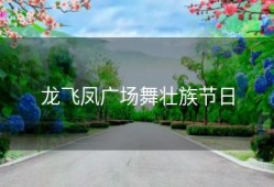 龙飞凤广场舞壮族节日
