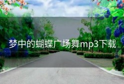 梦中的蝴蝶广场舞mp3下载