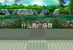 什么秀广场舞