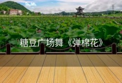 糖豆广场舞《弹棉花》