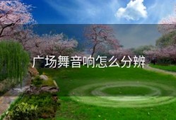 广场舞音响怎么分辨
