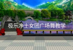 极乐净土女团广场舞教学