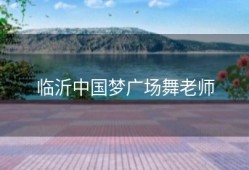 临沂中国梦广场舞老师