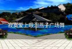 寂寞爱上眼泪燕子广场舞