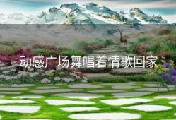 动感广场舞唱着情歌回家