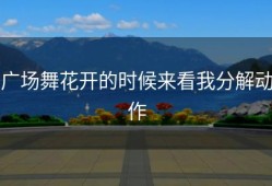 广场舞花开的时候来看我分解动作