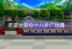 老婆我爱你十八步广场舞