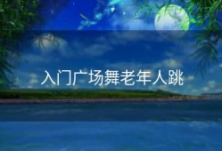 入门广场舞老年人跳