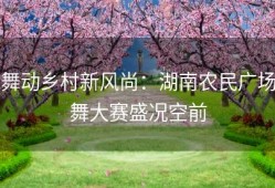 舞动乡村新风尚：湖南农民广场舞大赛盛况空前