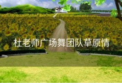 杜老师广场舞团队草原情