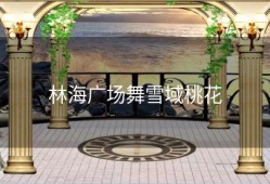 林海广场舞雪域桃花