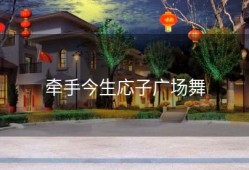 牵手今生応子广场舞