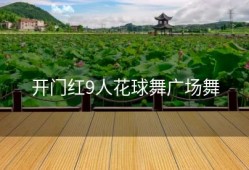 开门红9人花球舞广场舞