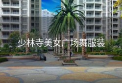 少林寺美女广场舞服装