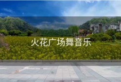 火花广场舞音乐