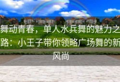 舞动青春，单人水兵舞的魅力之路：小王子带你领略广场舞的新风尚