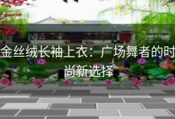 金丝绒长袖上衣：广场舞者的时尚新选择