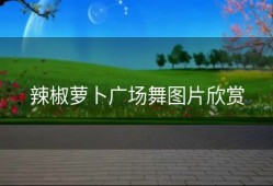 辣椒萝卜广场舞图片欣赏