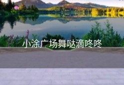 小涂广场舞哒滴咚咚