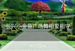 长兴小金鱼广场舞相爱相守