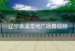 辽宁本溪雪地广场舞视频