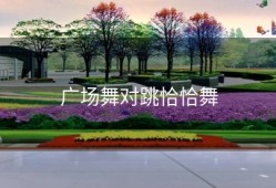 广场舞对跳恰恰舞