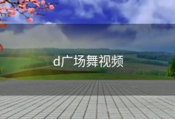d广场舞视频