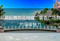 翩翩起舞的花蝴蝶：馨香广场舞的璀璨魅力
