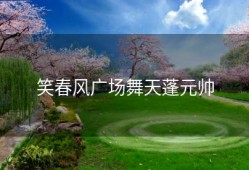 笑春风广场舞天蓬元帅