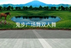 鬼步广场舞双人舞