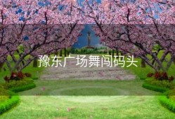 豫东广场舞闯码头