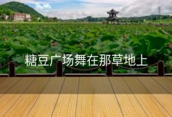 糖豆广场舞在那草地上