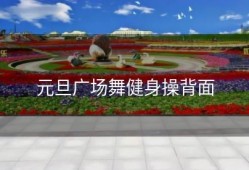 元旦广场舞健身操背面