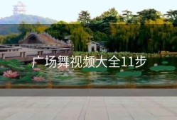 广场舞视频大全11步