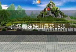 广场舞妹妹山丹花16步