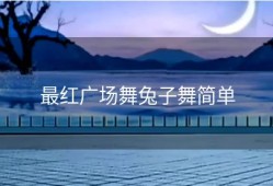 最红广场舞兔子舞简单