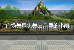 广场舞甩头舞三月里的小雨