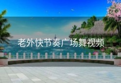 老外快节奏广场舞视频