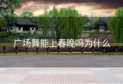 广场舞能上春晚吗为什么