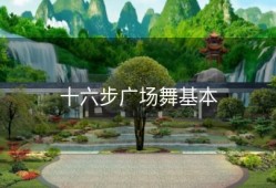 十六步广场舞基本