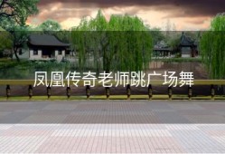 凤凰传奇老师跳广场舞