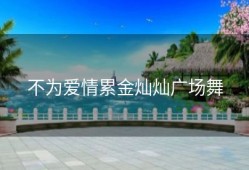 不为爱情累金灿灿广场舞