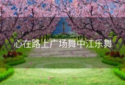 心在路上广场舞中江乐舞