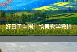 好日子中国广场舞教学教程