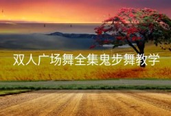 双人广场舞全集鬼步舞教学