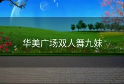 华美广场双人舞九妹