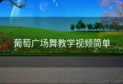 葡萄广场舞教学视频简单