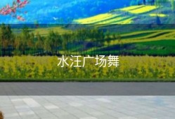 水汪广场舞