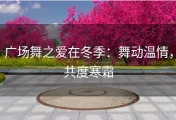 广场舞之爱在冬季：舞动温情，共度寒霜