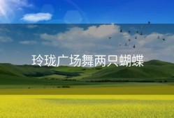 玲珑广场舞两只蝴蝶